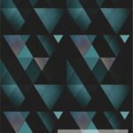GEO 13