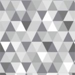 GEO 42
