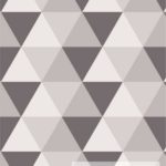 GEO 45