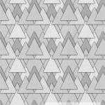 GEO 49