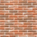 PED 47